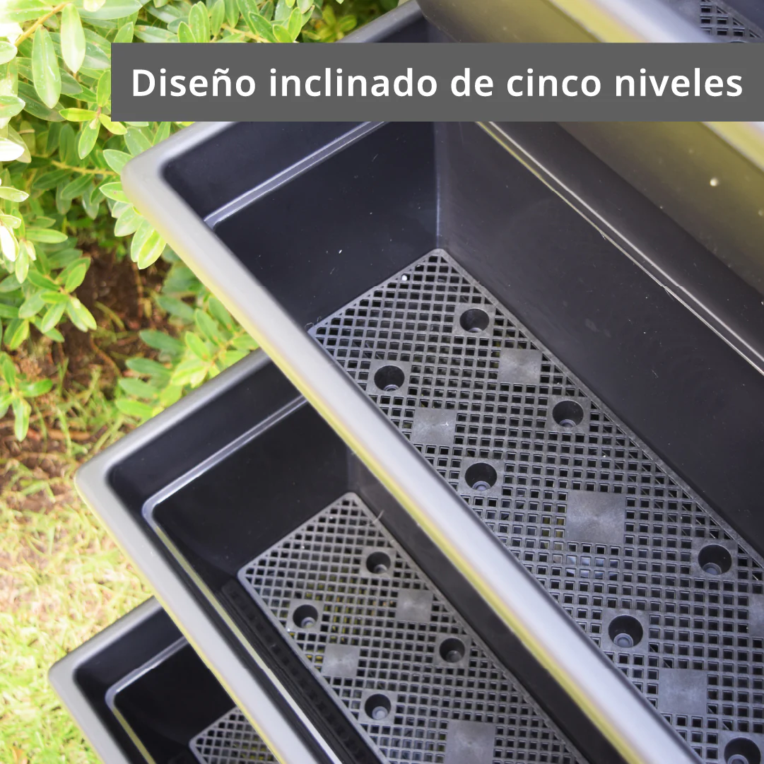 Imagen del producto 3
